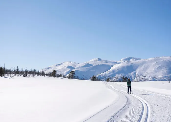 Feriesenter * Rauland