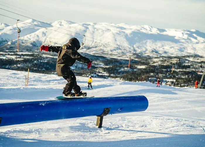 Feriesenter Ferienhaus Rauland