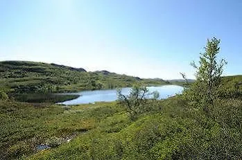 Feriesenter * Rauland