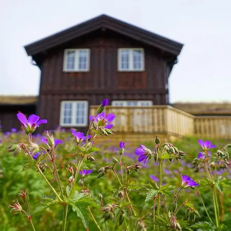 Ferienhaus Feriesenter *